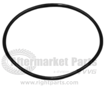 31729001 Suspension O-Ring
