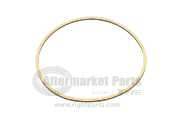 37110007 Ring Seal